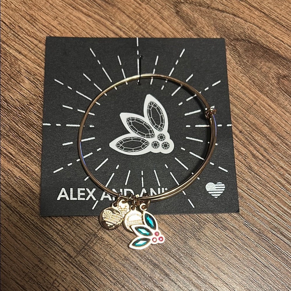 Alex and Ani Swarovski Crystal Set
